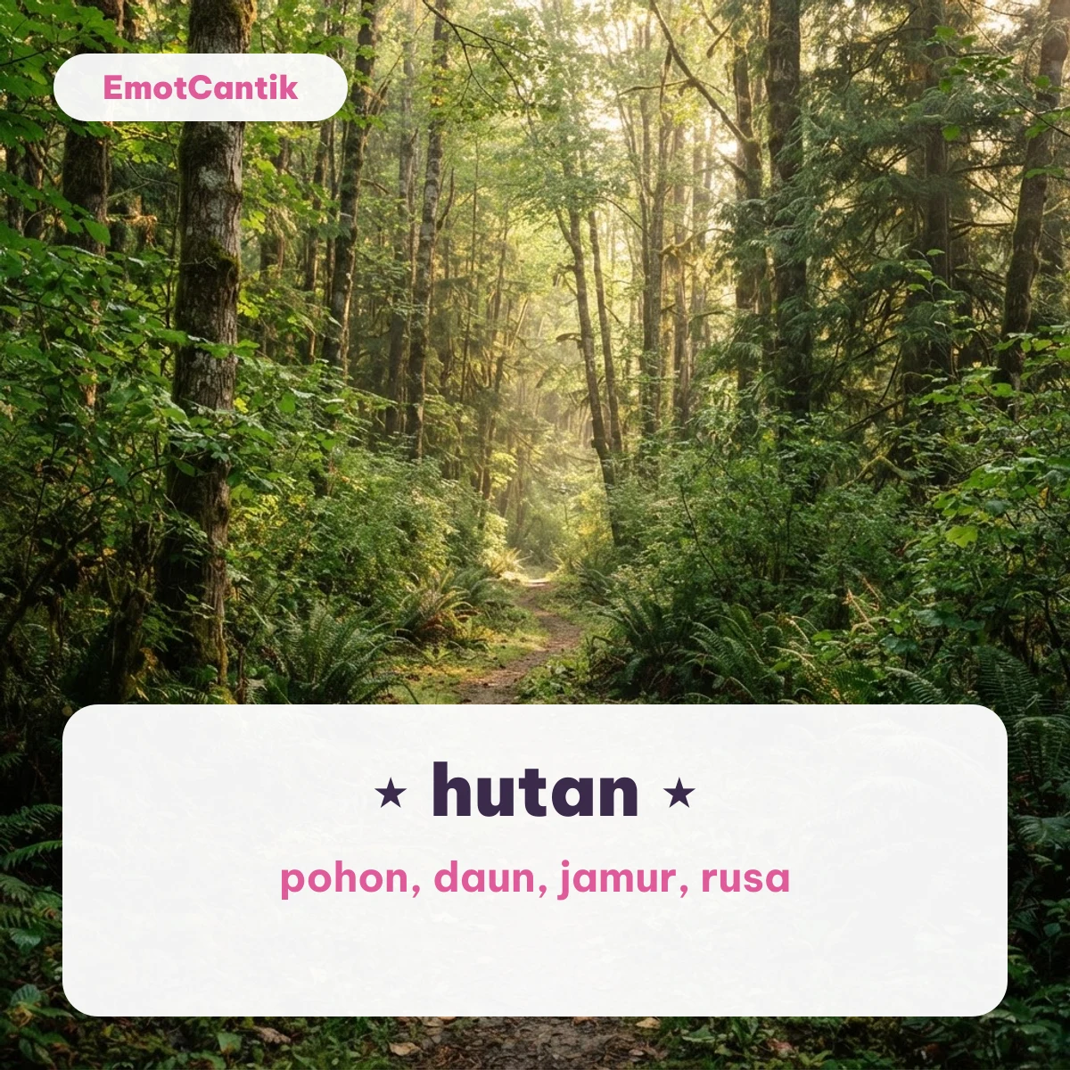 Emoji alam aesthetic tema hutan di atas latar jalan setapak hutan hijau
