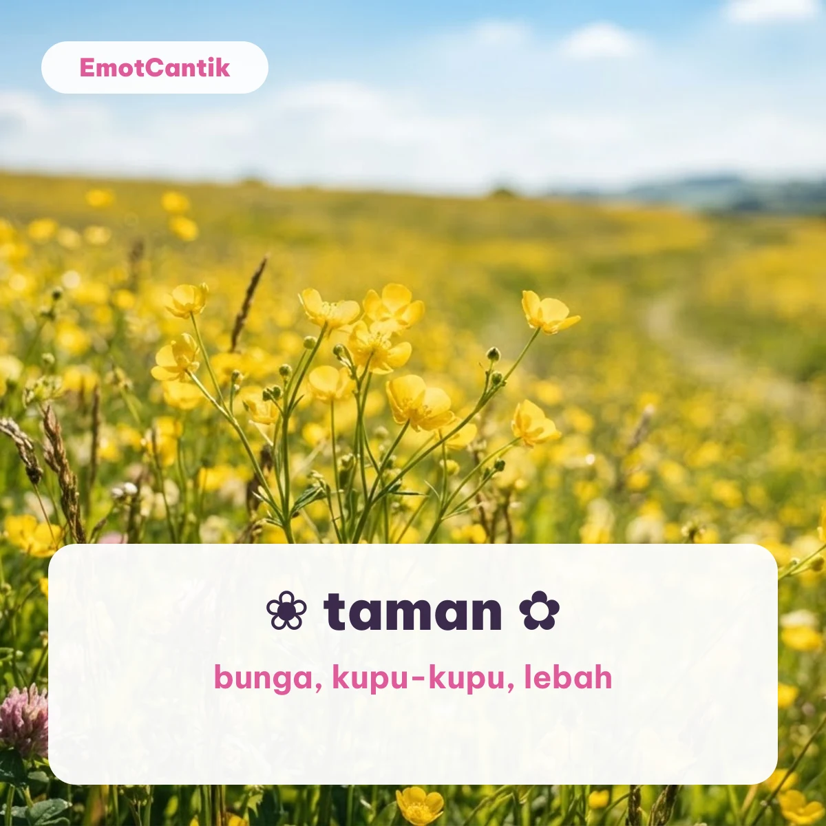 Emoji alam tema taman dan bunga di atas latar padang bunga kuning